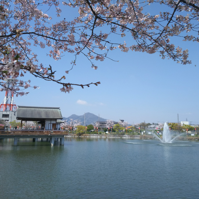 二上山への眺め