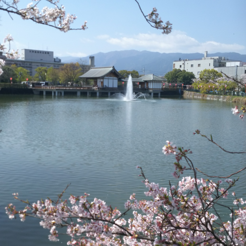 金剛山・葛城山への眺め