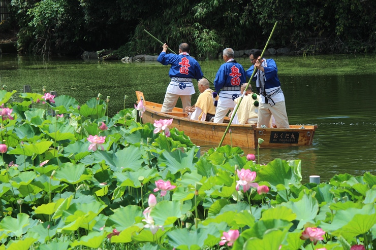 奥田捨篠池と蓮の花の画像1