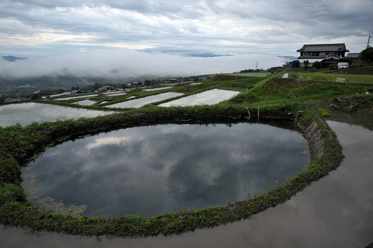 田植えの季節 雲海
