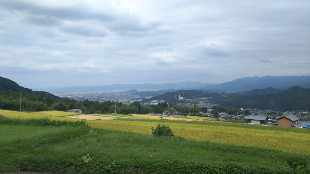 菩提寺の東、駐車場から北東を望む　大和平野・麓の集落など　稲刈り前