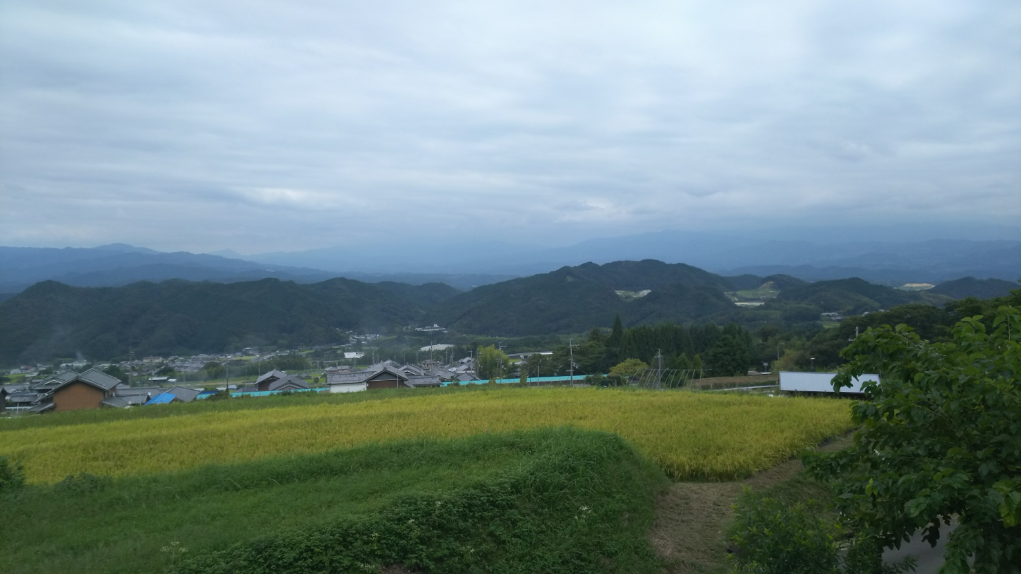 菩提寺の東、駐車場から南東を望む 稲刈り前 麓の集落・宇陀や吉野の山々