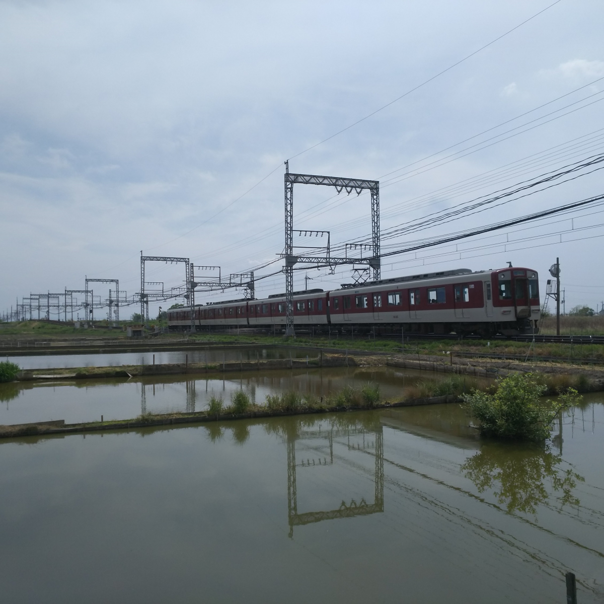 金魚池に映る電車