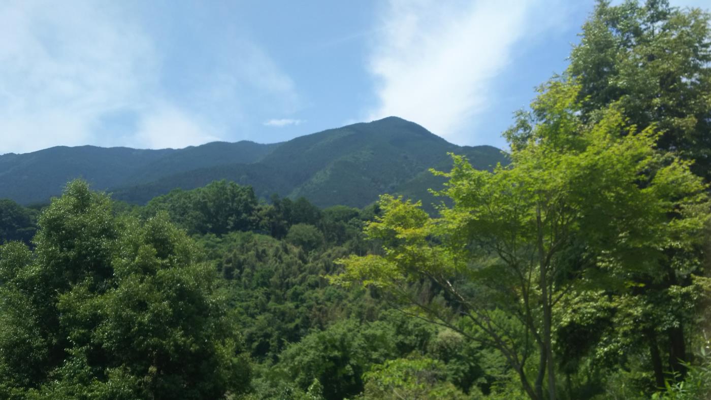 「秘密の砦」手前の展望スペース