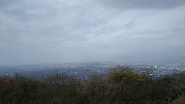 生駒山上遊園地から大阪平野への眺望