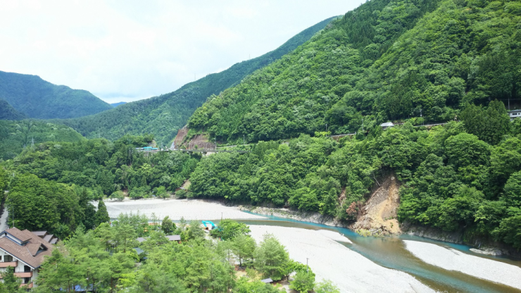 吊り橋中腹から上流を望む
