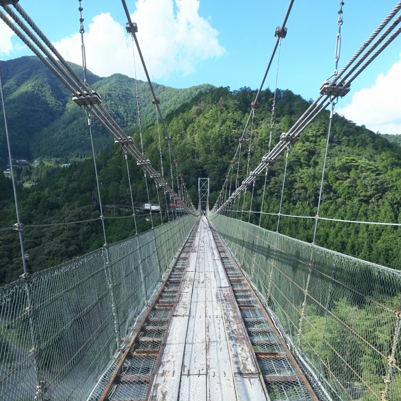 吊り橋の中腹