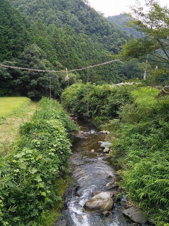 明日香村栢森の綱掛神事（女綱）3