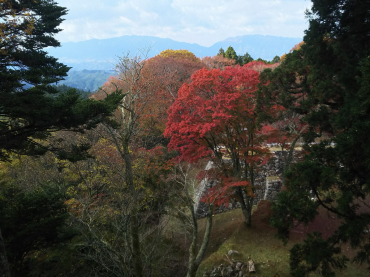 本丸からの眺めと紅葉