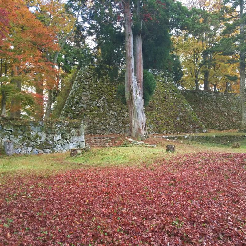 敷紅葉と城跡の石垣