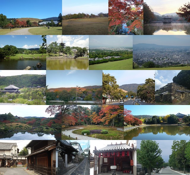 奈良公園画像一覧