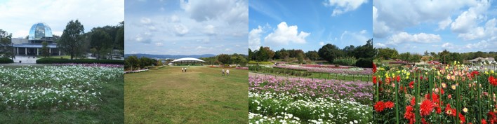 馬見丘陵公園の画像一覧
