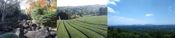 神野山の登山の画像一覧