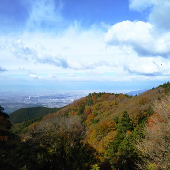 金剛山石寺跡道の登山