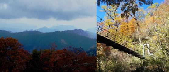 大台ヶ原東大台