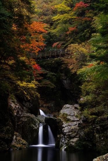 みたらい遊歩道