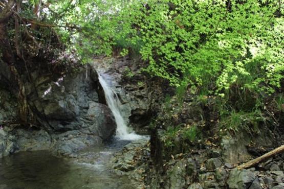 飛鳥川源流の細谷川の女淵