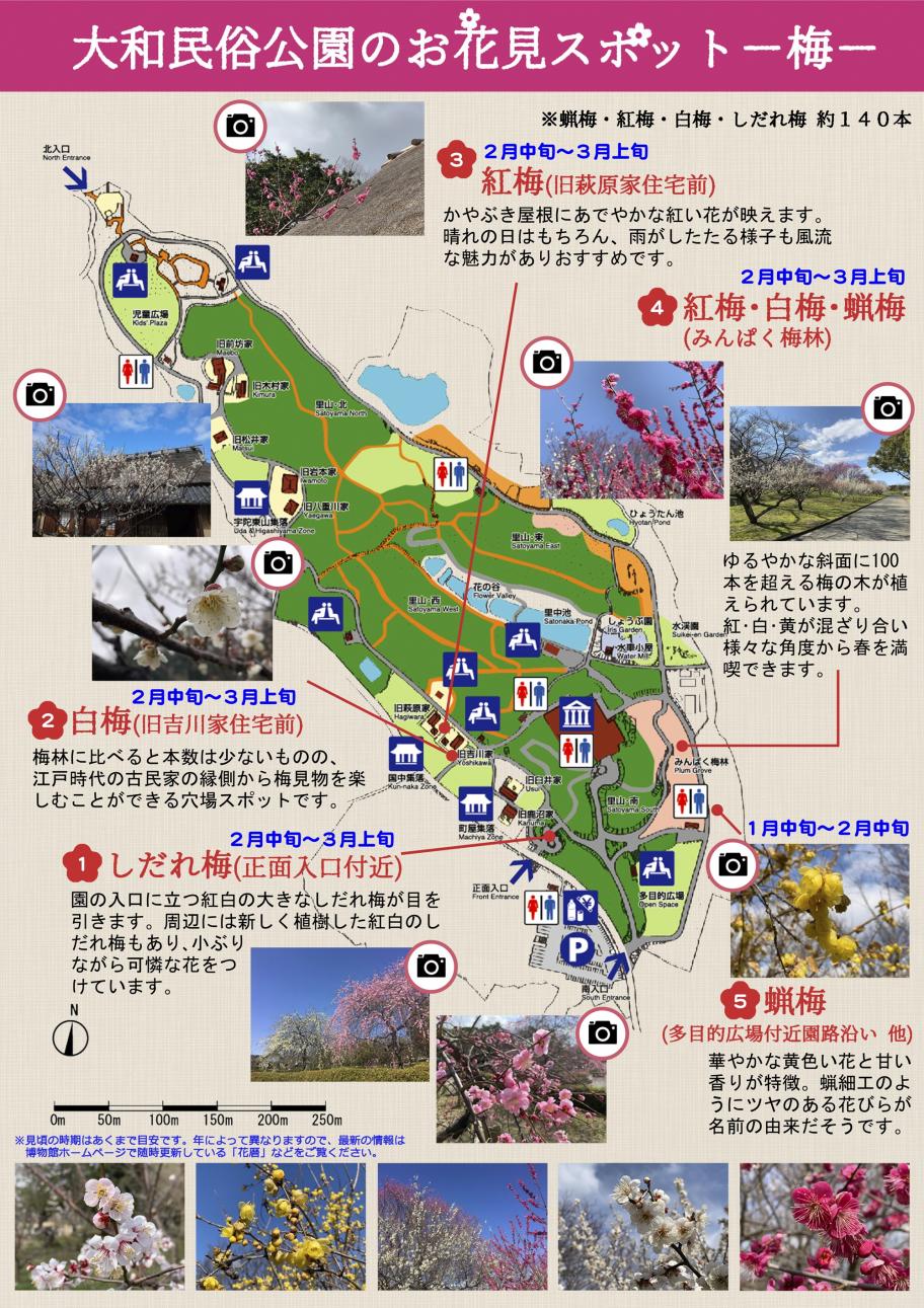 お花見スポット(梅)