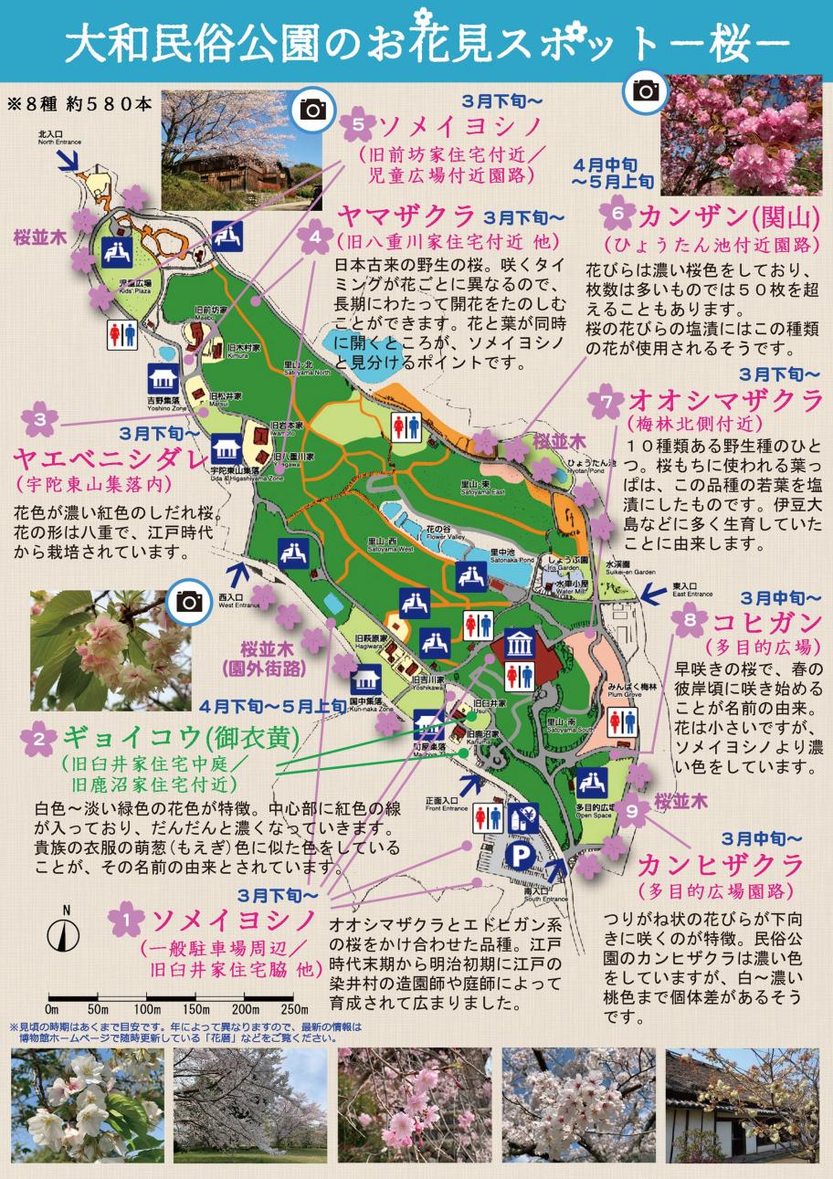 お花見スポット(桜)