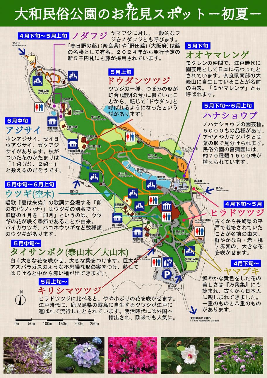お花見スポット（初夏）
