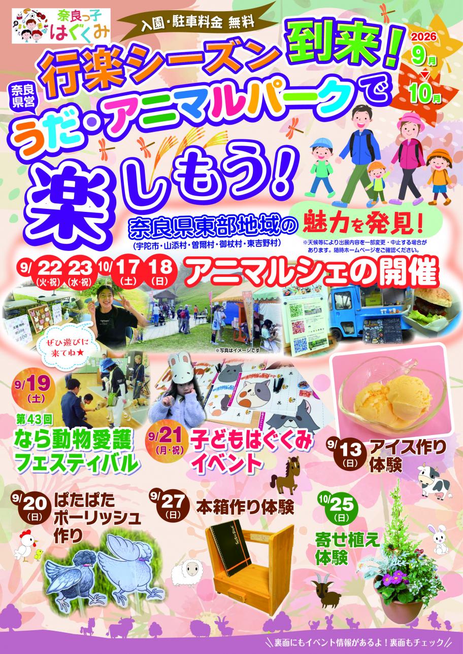 チラシおもて