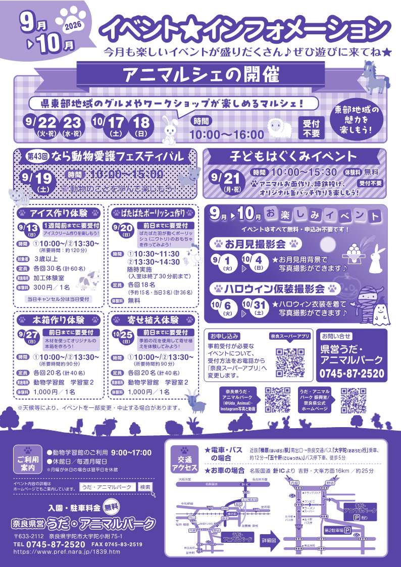 チラシうら