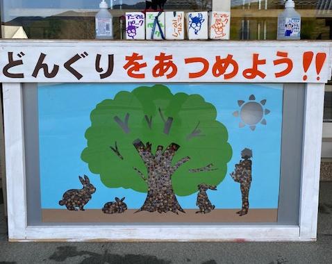 どんぐり