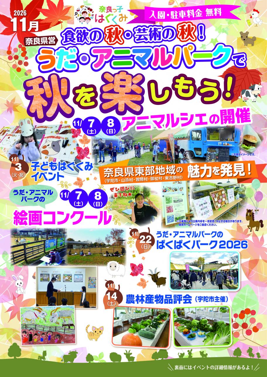 11月チラシ表