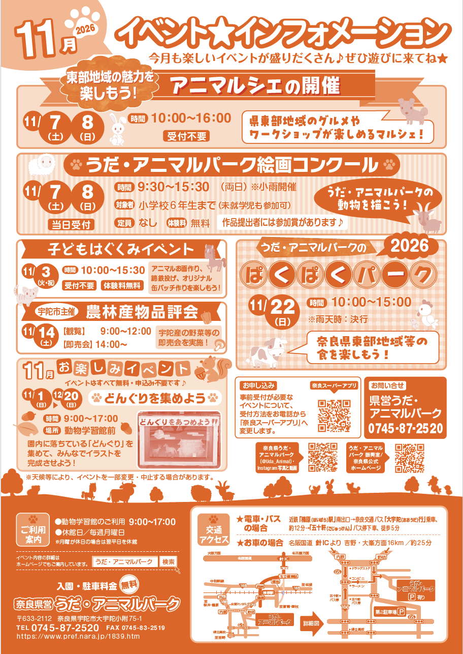 11月チラシ裏