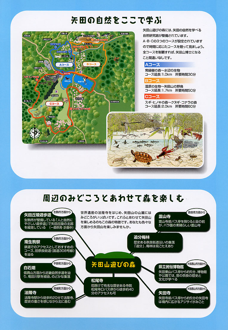 自然研究路の地図と見どころ