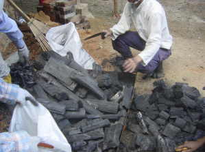 自然体験活動写真10