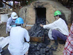 自然体験活動写真11