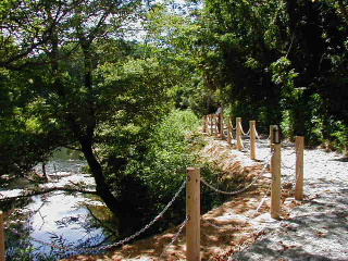 矢田山遊びの森写真4