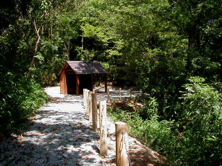 矢田山遊びの森写真5