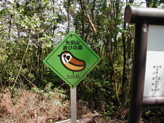 矢田山遊びの森写真6