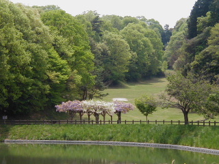 矢田山遊びの森写真1
