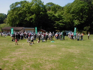 矢田山遊びの森写真4