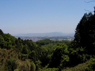 矢田山遊びの森写真5