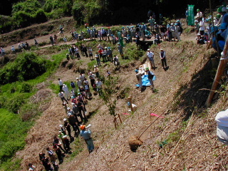 矢田山遊びの森写真6