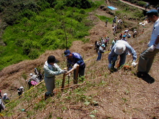 矢田山遊びの森写真7