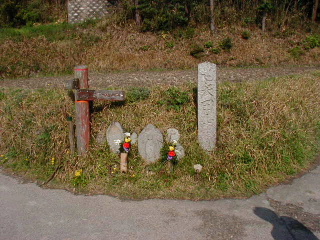 矢田山遊びの森写真1