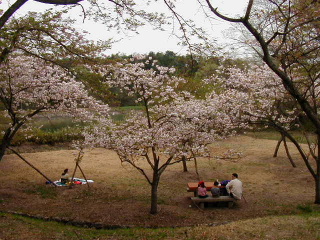 矢田山遊びの森写真6