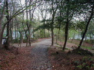 矢田山遊びの森写真4