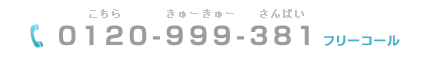 不法投棄ホットラインのフリーコール0120-999-381こちらきゅーきゅーさんぱい