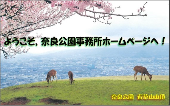 奈良公園事務所㏋