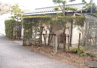 市の井トイレ外観