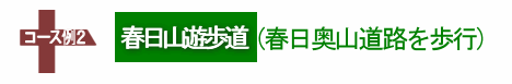 コース例2