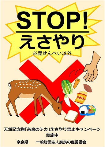STOPえさやりチラシ表