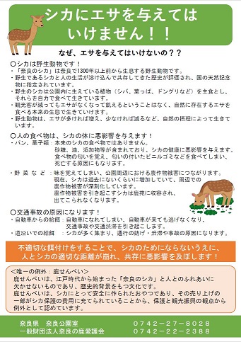 STOPえさやりチラシ裏