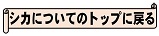 シカについてのトップに戻る
